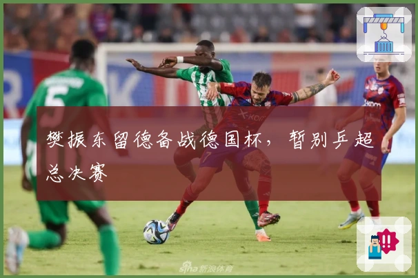 樊振东留德备战德国杯,暂别乒超总决赛