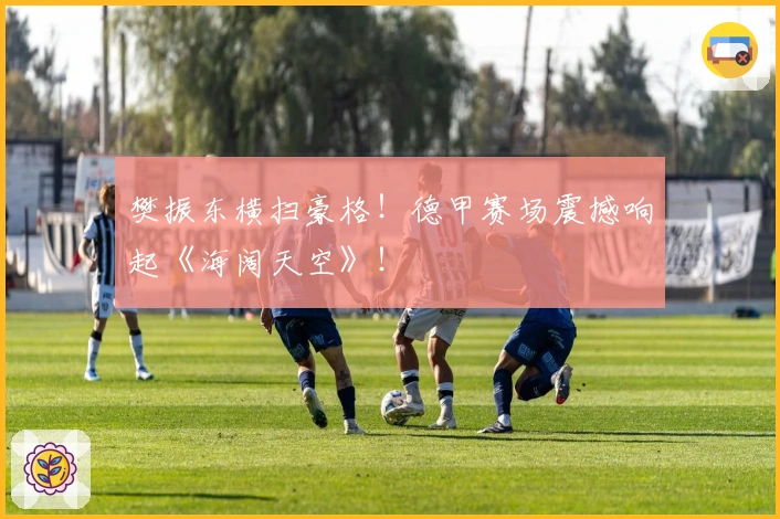 樊振东横扫豪格！德甲赛场震撼响起《海阔天空》！