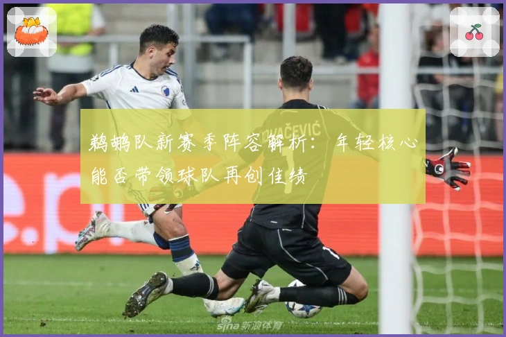 鹈鹕队新赛季阵容解析：年轻核心能否带领球队再创佳绩